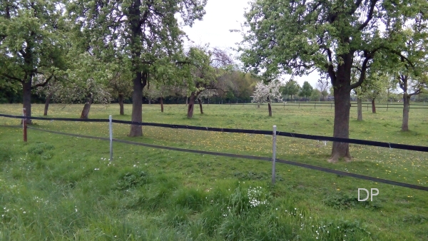 Maigang -Klicke und Bild erscheint gr&ouml;&szlig;er